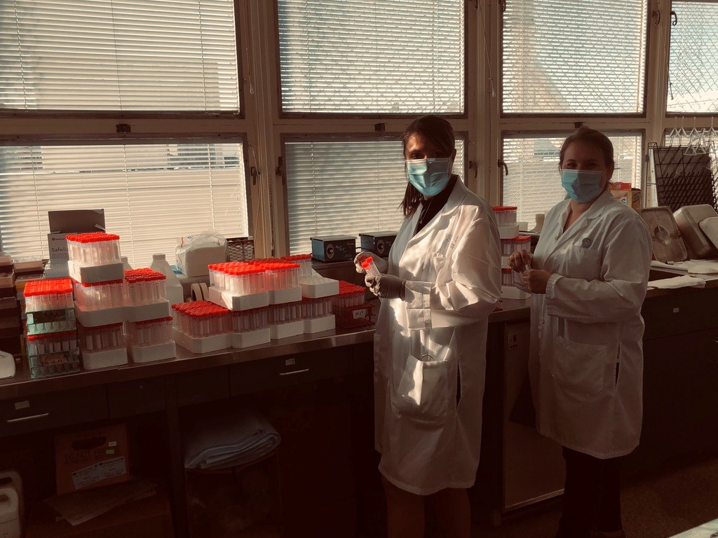 Before the employees arrive, Stéphanie Desrosiers and Valérie Dion prepare the saline tubes that will be used to store and transport the collected swabs. They will then move on to their administrative duties and supervise the analyses in the microbiology laboratory.