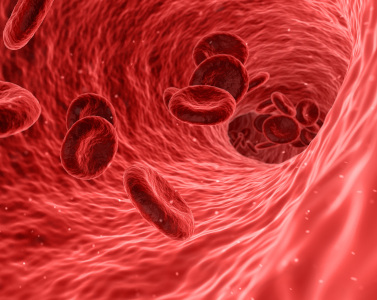 Photo du flux sanguin
